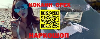 индика Гудермес
