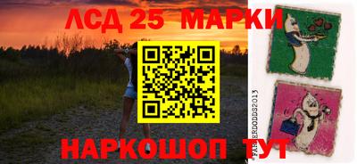 индика Гудермес