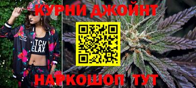индика Гудермес
