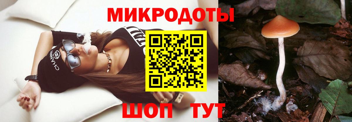Галлюциногенные грибы Magic Shrooms  Вход с VPN  Галлюциногенные грибы Psilocybine cubensis  Избербаш 